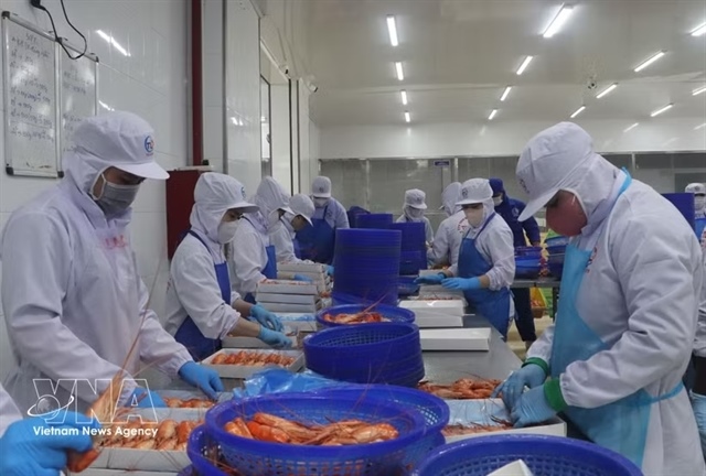 Việt Nam's economy expected to grow 11% in 2027