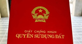 Kiến nghị làm rõ việc cấp sổ đỏ cho đất vi phạm trước 1/8/2024