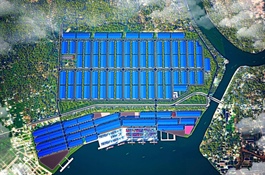 Doanh nghiệp của ông Lê Tự Minh làm khu công nghiệp gần 8,500 tỷ tại Tây Ninh