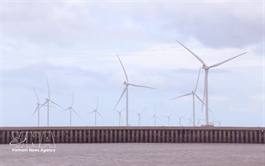 Cà Mau taps clean energy with three wind power projects worth over $239 million