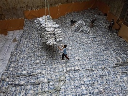 Việt Nam’s rice exports reach $2.91 billion in eight months