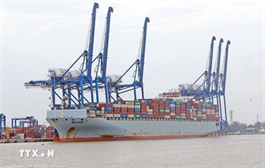 Hải Phòng takes over food safety checks for imported agricultural products