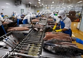 Mở rộng dư địa hợp tác mới giữa Việt Nam và Liên bang Nga