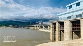 ADB provides $43 million to upgrade irrigation systems in three Vietnamese provinces