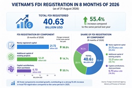 FDI inflows rise 55.4 per cent on year