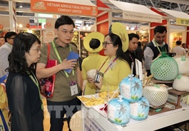 Việt Nam’s fruit gains stronger foothold in global markets