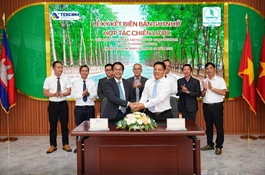 TEKCOM gains priority access to hevea veneer and plywood supply in Cambodia