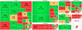 VN-Index jumps 25 points despite subdued liquidity