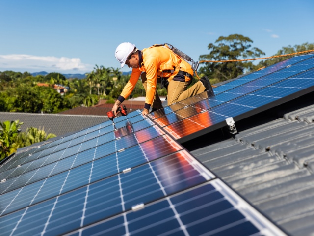Verdant Vietnam Bravo thoát lỗ trong nửa đầu năm