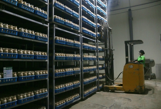 Firm entry and exits point to continued restructuring pressure