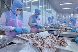 Việt Nam seafood exports maintain growth in August