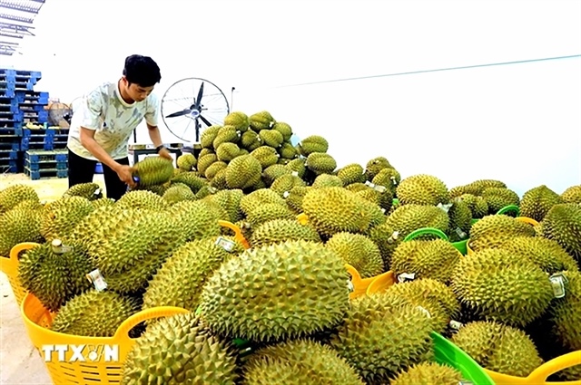 Agricultural, forestry and fishery exports reach nearly $49.3 billion after eight months