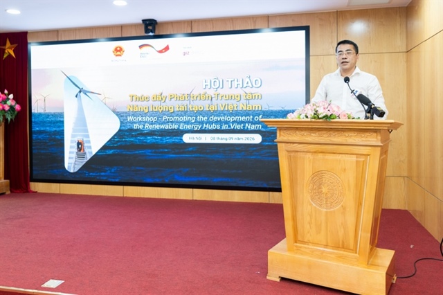 Vietnam maps out renewable energy hubs to build green supply chains