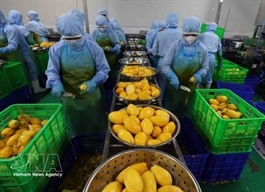 Việt Nam, Mongolia promote complementary strengths to expand cooperation opportunities