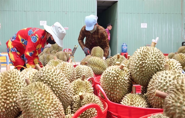 Việt Nam targets digital mapping for 70 per cent of raw material areas by 2030