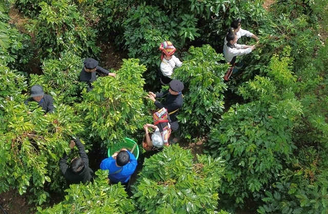 Farm exports urged to prepare for UK anti-deforestation rules