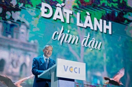 Reform to resilience: How Vietnamese businesses build long-term strength