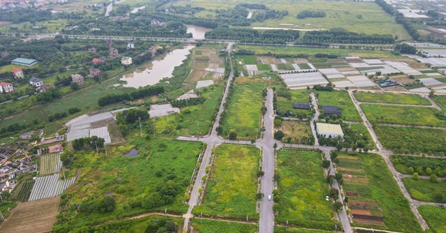 Nhận thừa kế bất động sản, bao lâu phải nộp tờ khai thuế?