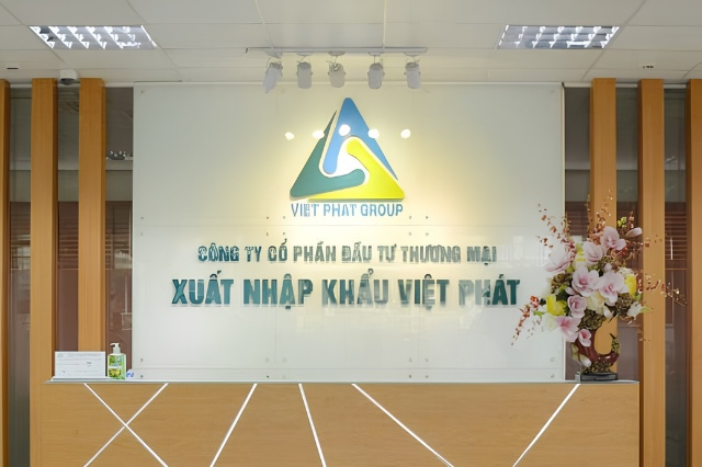VPG bị HOSE nhắc chậm công bố BCTC soát xét, loạt sức ép tài chính phía sau