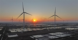 Clearer rules needed to turn green power into competitive advantage