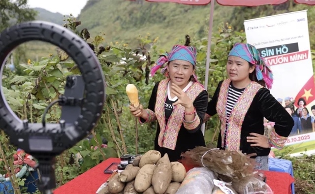 TikTok Shop reports strong revenue growth in 9.9 campaign