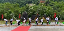 Cao Bằng develops organic farming zones linked to European markets