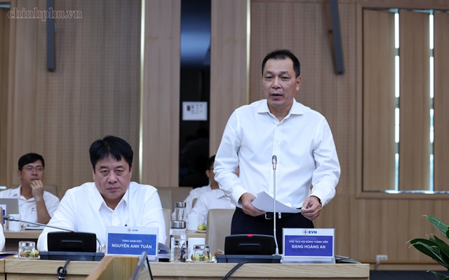 EVN clears accumulated losses, estimates nearly $0.5 billion profit in first eight months