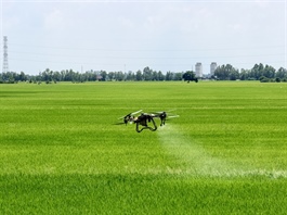 Việt Nam, Malaysia see potential for smart agriculture cooperation
