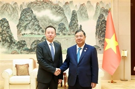 Việt Nam seeks Chinese investment in energy, infrastructure and technology