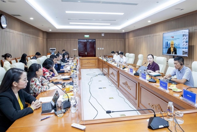 Vietnam, Singapore hold senior officials' meeting ahead of 20th Connectivity Ministerial Meeting