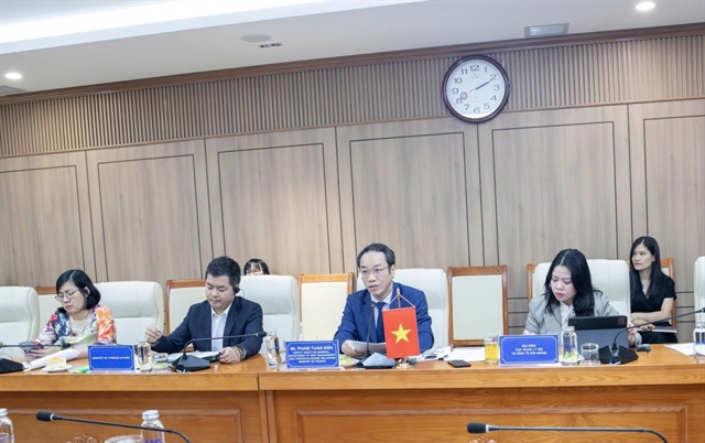 Vietnam and Singapore hold senior officials' meeting