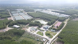 Gia Lai greenlights $146 million agricultural project