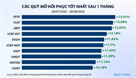 Mutual funds get back losses and more as stock market rebounds