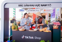 Law, tax knowledge - key to create new generation of online content creators