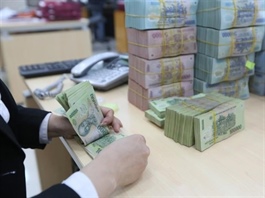 Việt Nam establishes $190m State-owned asset management company