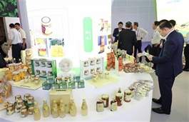 Việt Nam's An Giang picked for CAEXPO “Charming Cities” showcase