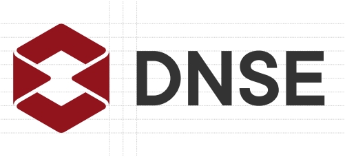DNSE