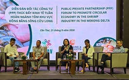 Shrimp industry faces challenges in developing circular economy