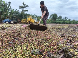 Shift needed from production to value creation in farm, forestry exports