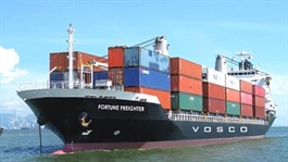 VOSCO (VOS) to pay $4.8 million in cash dividends