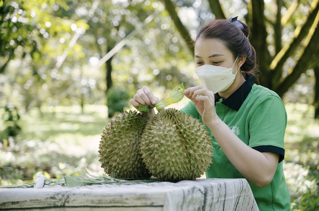 Sầu riêng hút khách Trung Quốc, rau quả Việt 3 tháng liền vượt 1 tỷ USD