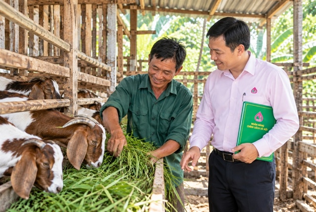Policy credit builds sustainable livelihoods from the grassroots