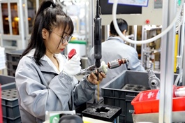 Productivity, innovation push needed to raise domestic value