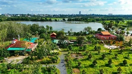 HCM City: Green start-ups pave way for higher-value Vietnamese farm produce