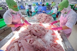 Standard Chartered maintains positive outlook as Việt Nam's Q3 GDP growth likely remained robust