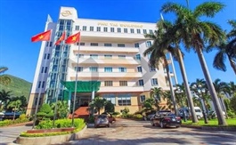Lãnh đạo Phú Tài gom cổ phần giữa đà xuống dốc của thị giá