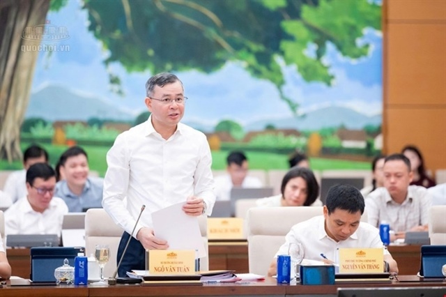 Foreign investors to be widened for market access