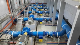 CTB bị xử phạt và truy thu thuế hơn 4.6 tỷ đồng