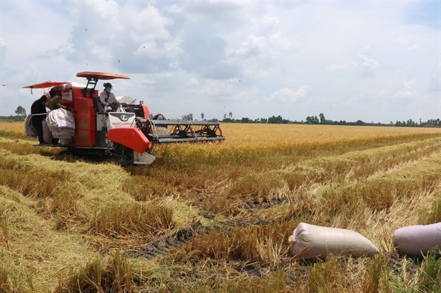 Agro-forestry-fishery exports poised to reach 2026 target