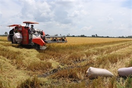 Agro-forestry-fishery exports poised to reach 2026 target